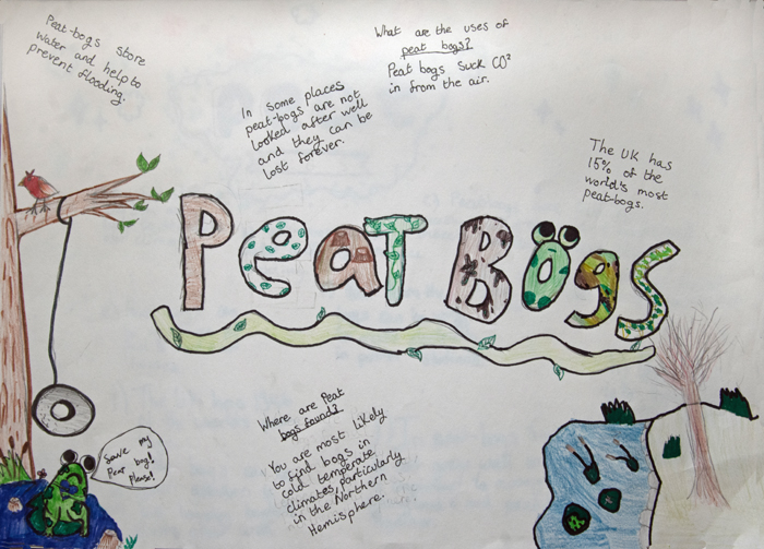 Peat bogs facts poster drawn by school pupils 